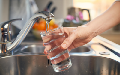 Come capire se l’acqua domestica è pura